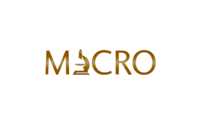 MICRO Logo